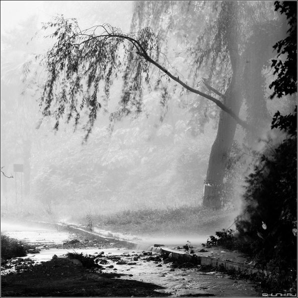 Черно белой краской природу