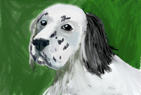 Белый Бим черное ухо