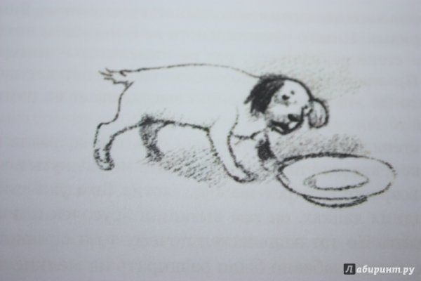 Иллюстрация к рассказу белый Бим черное ухо