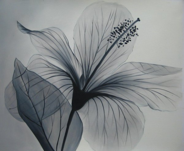 Цветы абстракция