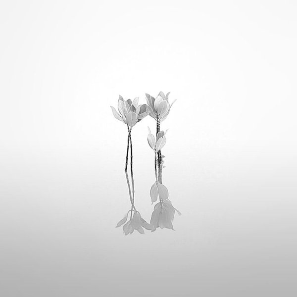 Чб Минимализм