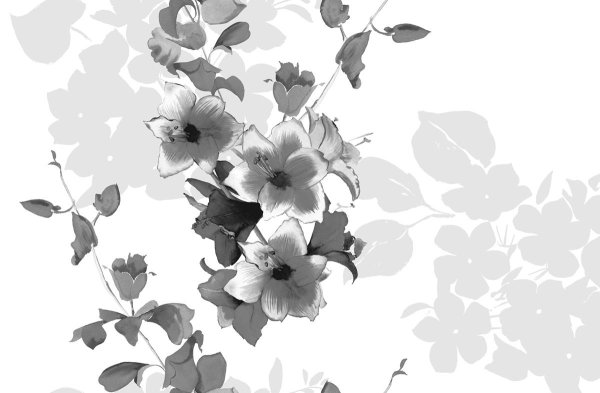 Белые цветы на сером фоне