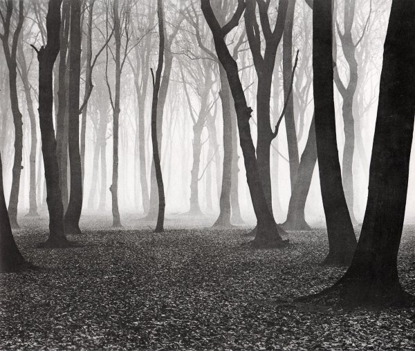 Фотограф Альберт Ренгер-патч