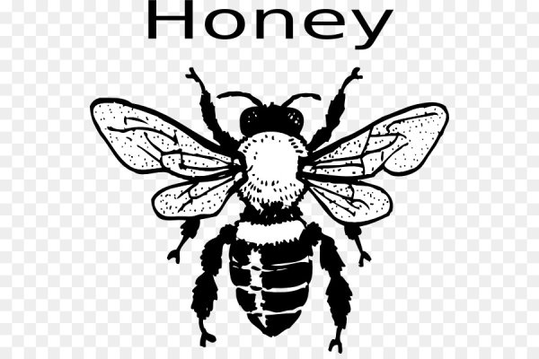 Пчела Графика