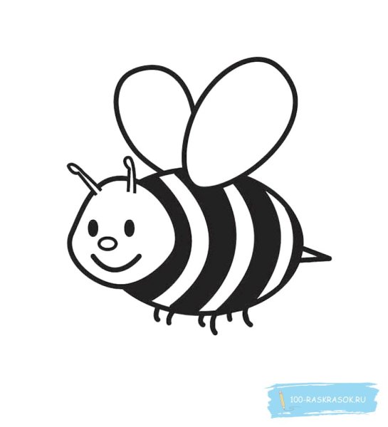 Пчела раскраска для детей