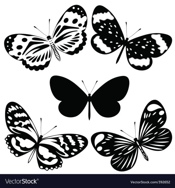 Принты бабочки черно-белые