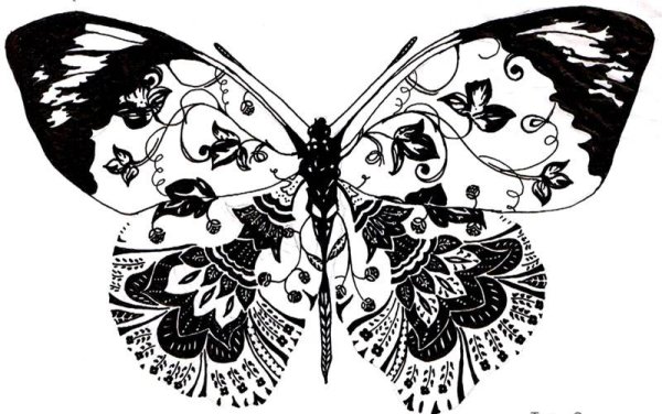 Бабочка эскиз