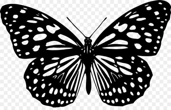 Бабочки для фотошопа