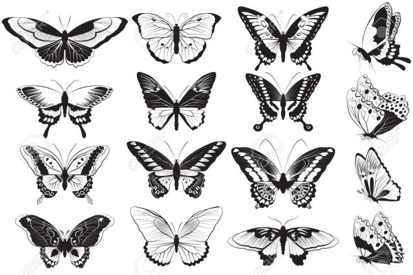 Контур бабочки на прозрачном фоне