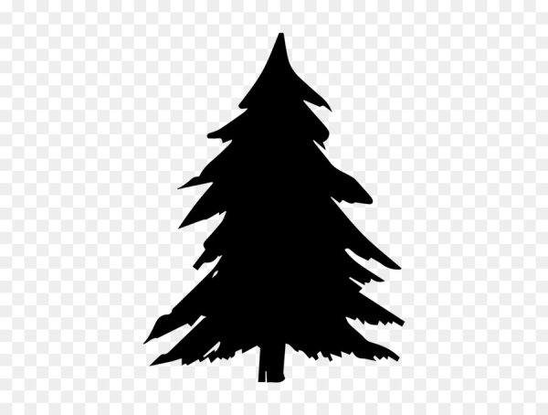 Силуэты хвойных деревьев