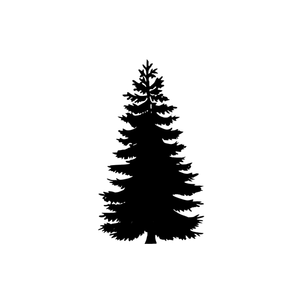 Ель в графике