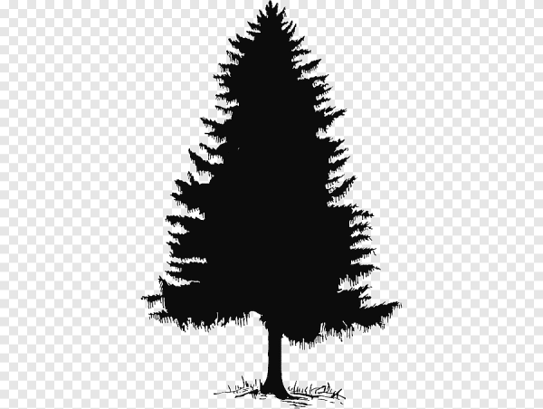 Силуэт дерева ель
