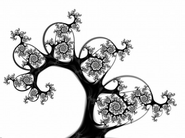 Фракталы черно белые