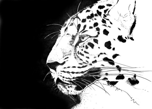 Рисунок белым на черном