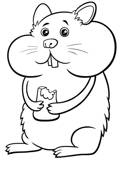 Картинка хомяка раскраска