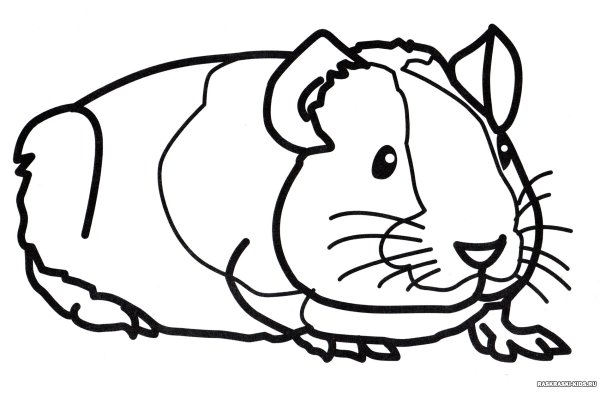 Картинка хомяка раскраска