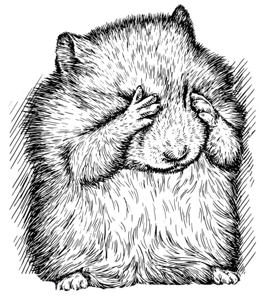 Хомяк набросок