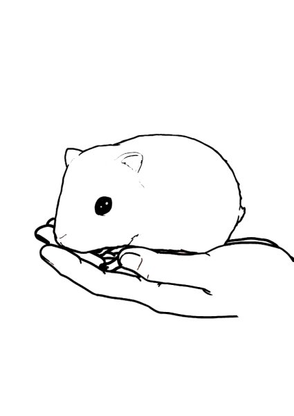 Джунгарский хомяк раскраска