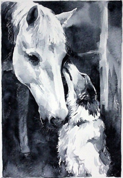 Елена Швед лошади