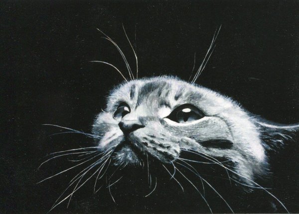 Черно белая живопись