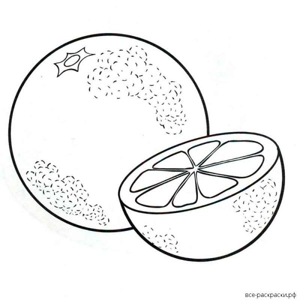 Апельсин раскраска