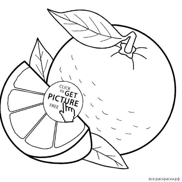 Апельсин раскраска