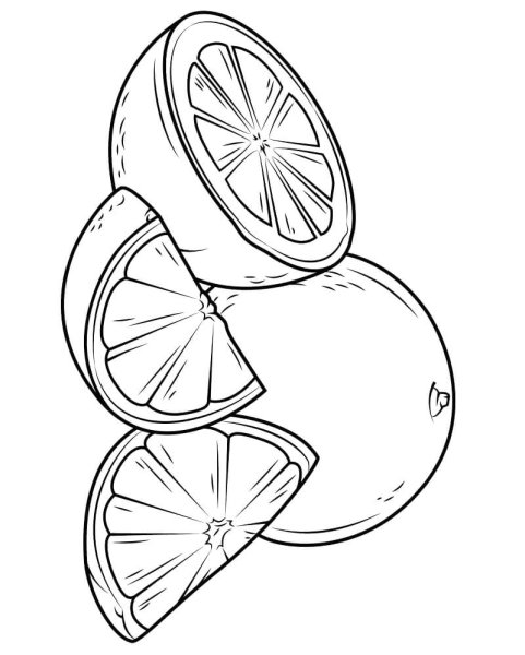 Апельсин для детей черно белая