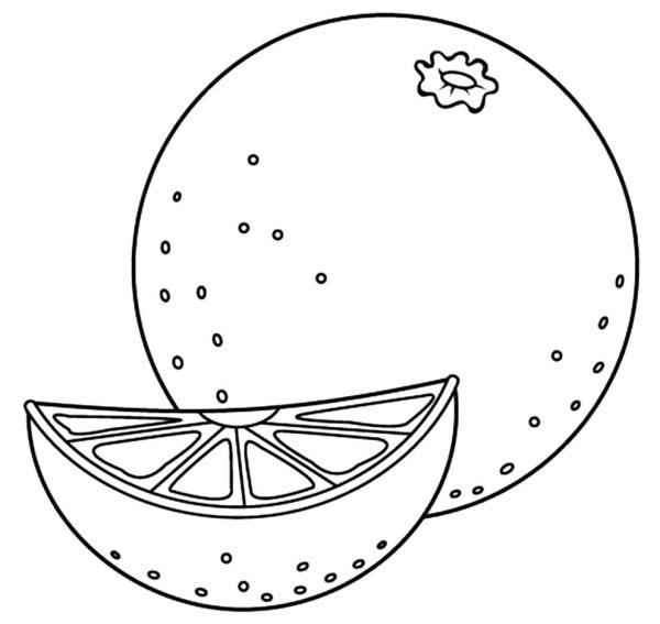 Апельсин раскраска