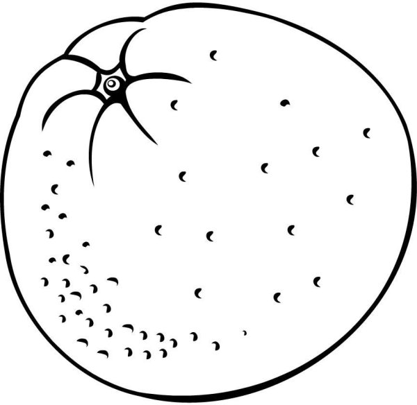 Апельсин раскраска