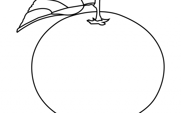 Лимон рисунок для детей карандашом