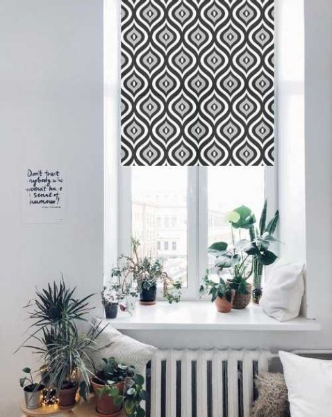 Рулонные шторы Franc Gardiner