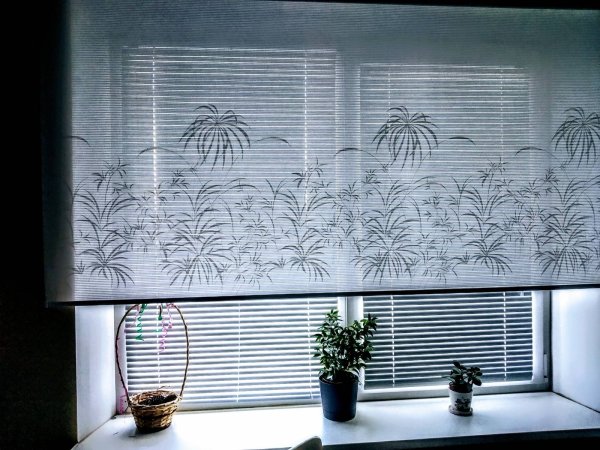 Рулонные шторы с рисунком