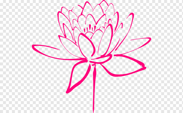 Лотос контурный рисунок