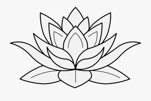 Лотос раскраска