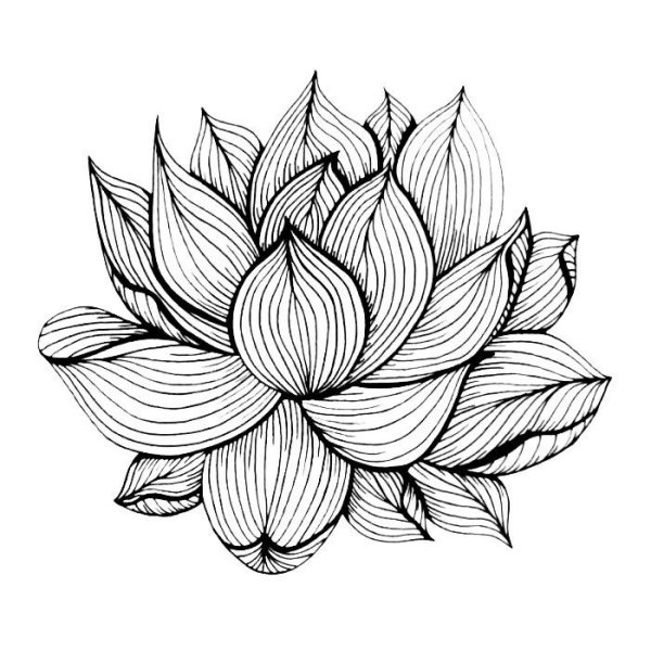 Стилизованные цветы Графика