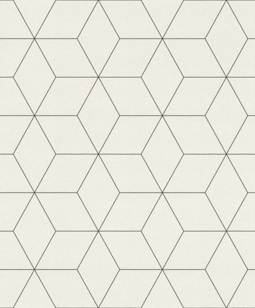 Обои флизелиновые Rasch Modern Art серые 0.53 м 624304