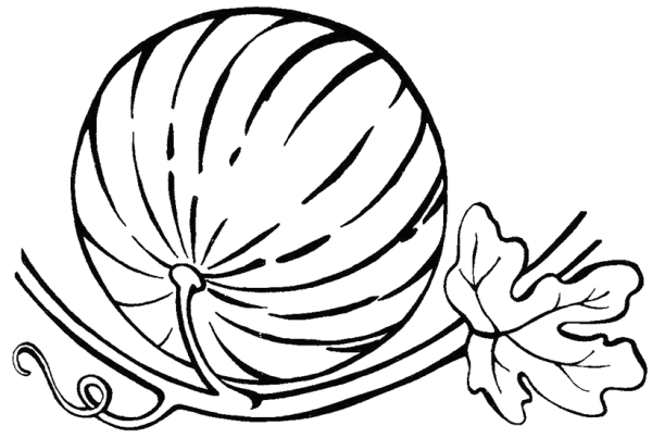 Арбуз раскраска