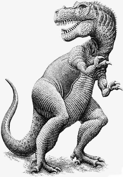 Динозавр чб