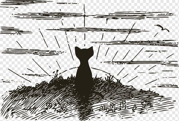 Закат черно белый рисунок