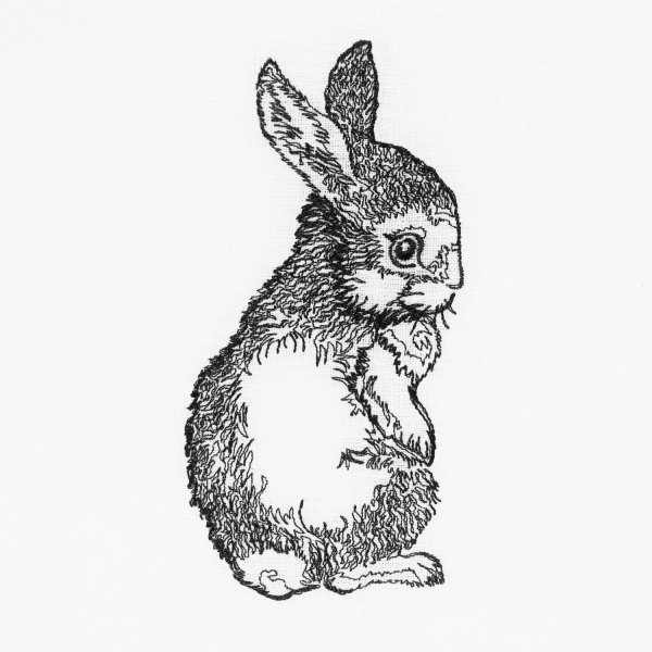 Зайчик раскраска для малышей