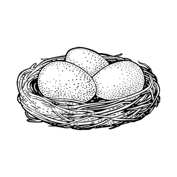 Яйца в гнезде контур