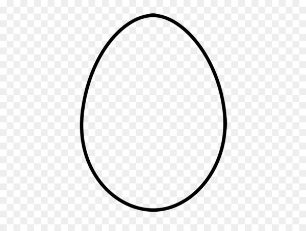 Контур яйца на прозрачном фоне