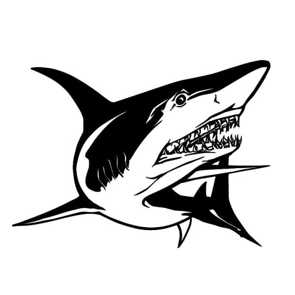 Акула рисунок