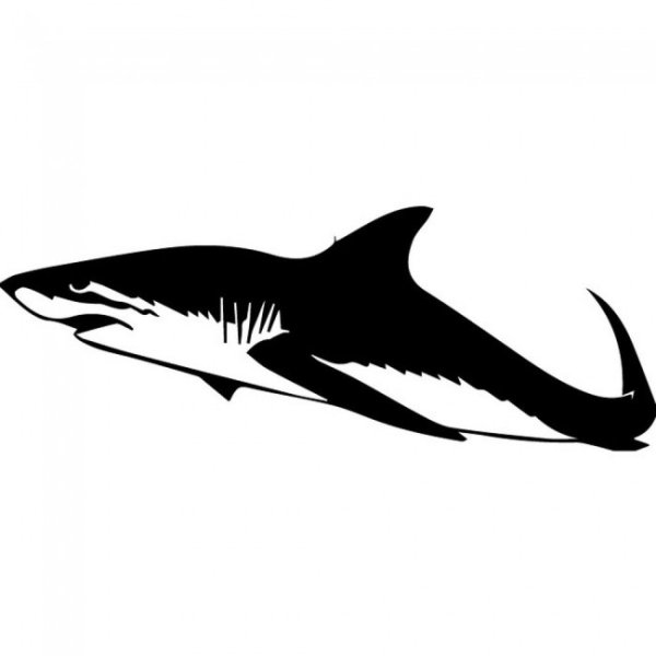 Тату акула черно белая