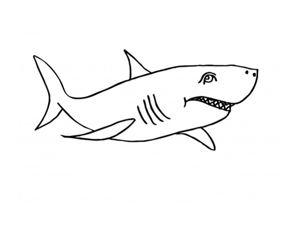 Акула раскраска для детей
