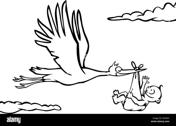 Белый Аист раскраска