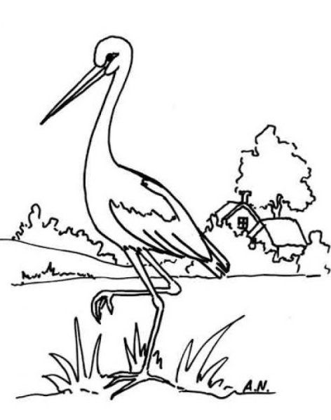 Аист раскраска для детей