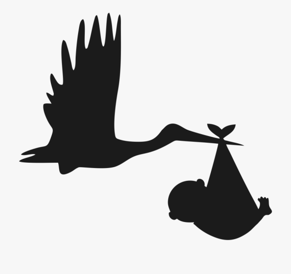 Аист несет ребенка