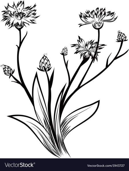 Васильки вектор