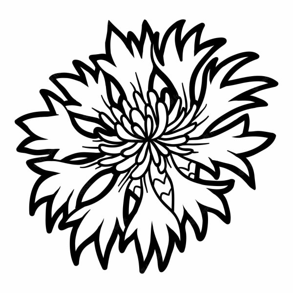 Василек раскраска